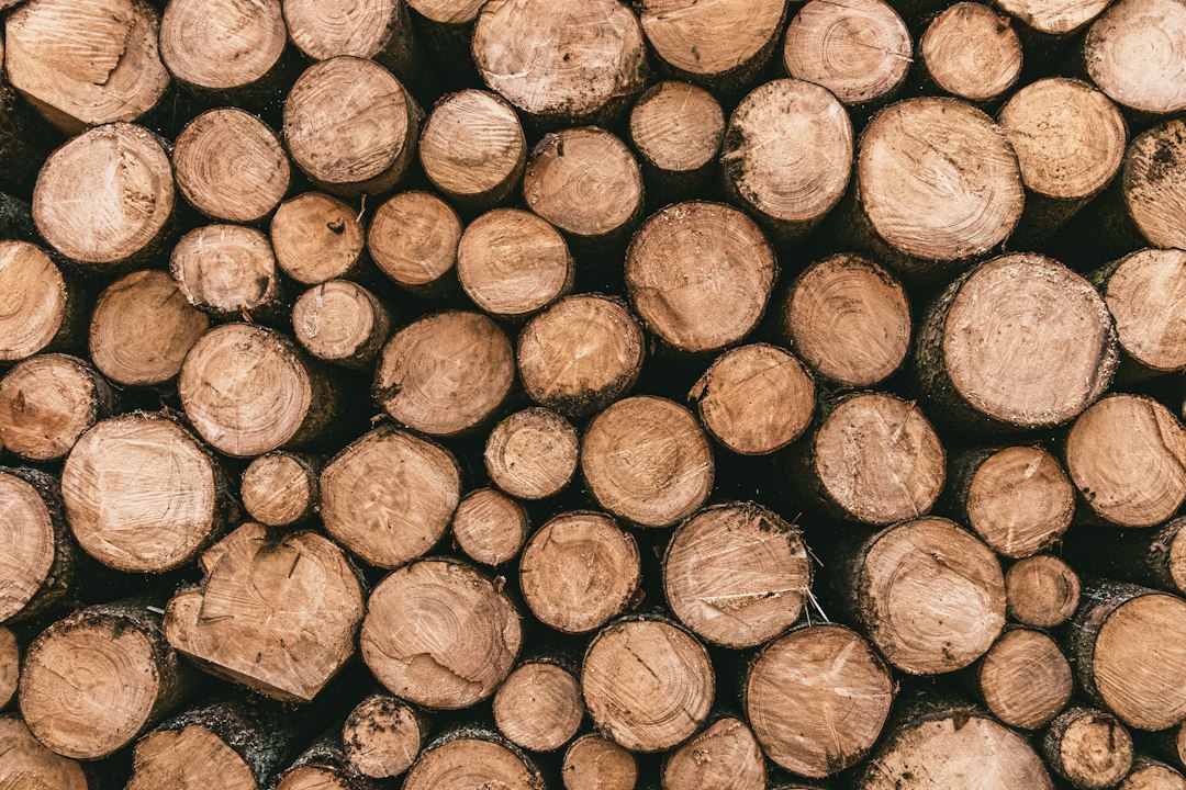 Middle East and Gulf Timber Trade